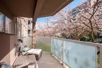 View 13