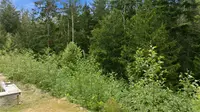 View 56