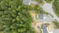 View 61