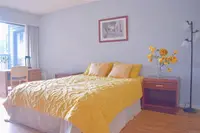 View 27