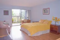 View 29