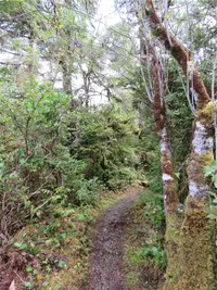 View 23