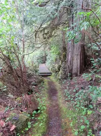 View 26