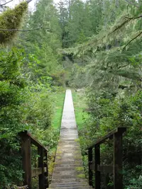 View 24