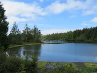 View 30