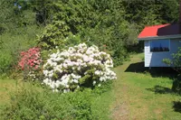 View 37