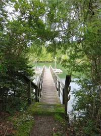 View 21