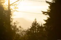 View 61