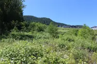 View 13