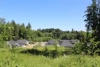 View 16