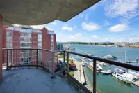 View 14