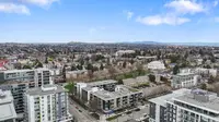 View 41