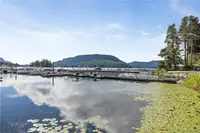 View 49