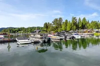 View 51