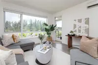 View 12