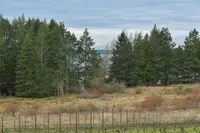 View 80