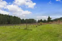 View 81