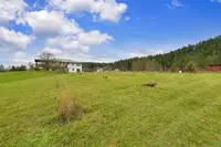 View 78