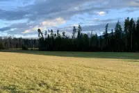 View 40