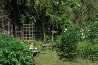 View 54