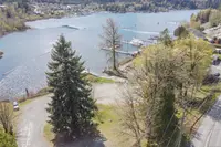 View 50
