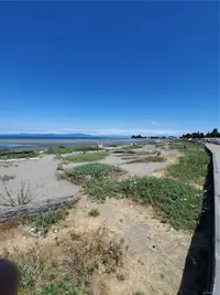 View 14