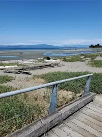 View 15