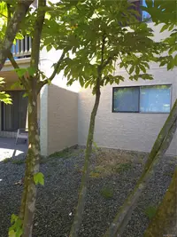 View 39