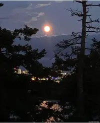 View 19