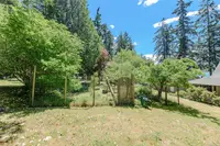 View 50