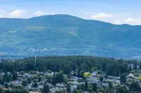View 42
