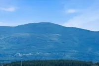View 43