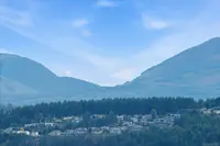 View 45