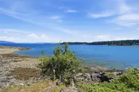 View 50