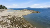 View 68