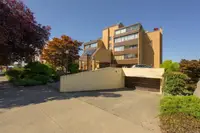 View 50