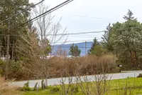 View 12