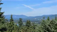 View 11