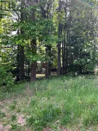 View 6