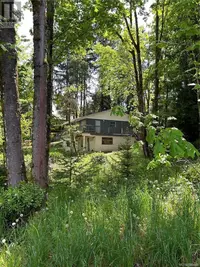 View 7