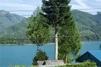 View 8