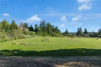View 29