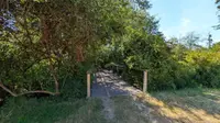 View 90