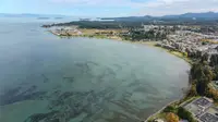 View 12