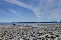 View 53