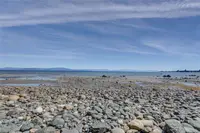View 51
