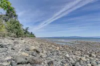 View 50