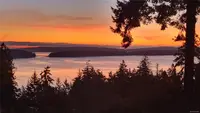 View 79