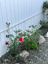 View 36