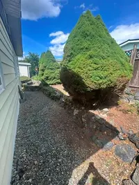 View 33